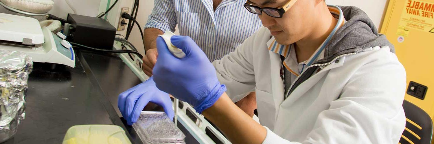 Lab worker with rubber gloves and test tubes