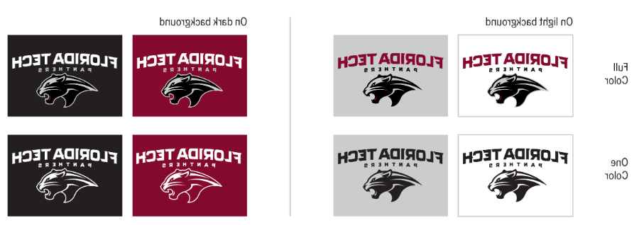 Examples of Panther logo color schemes